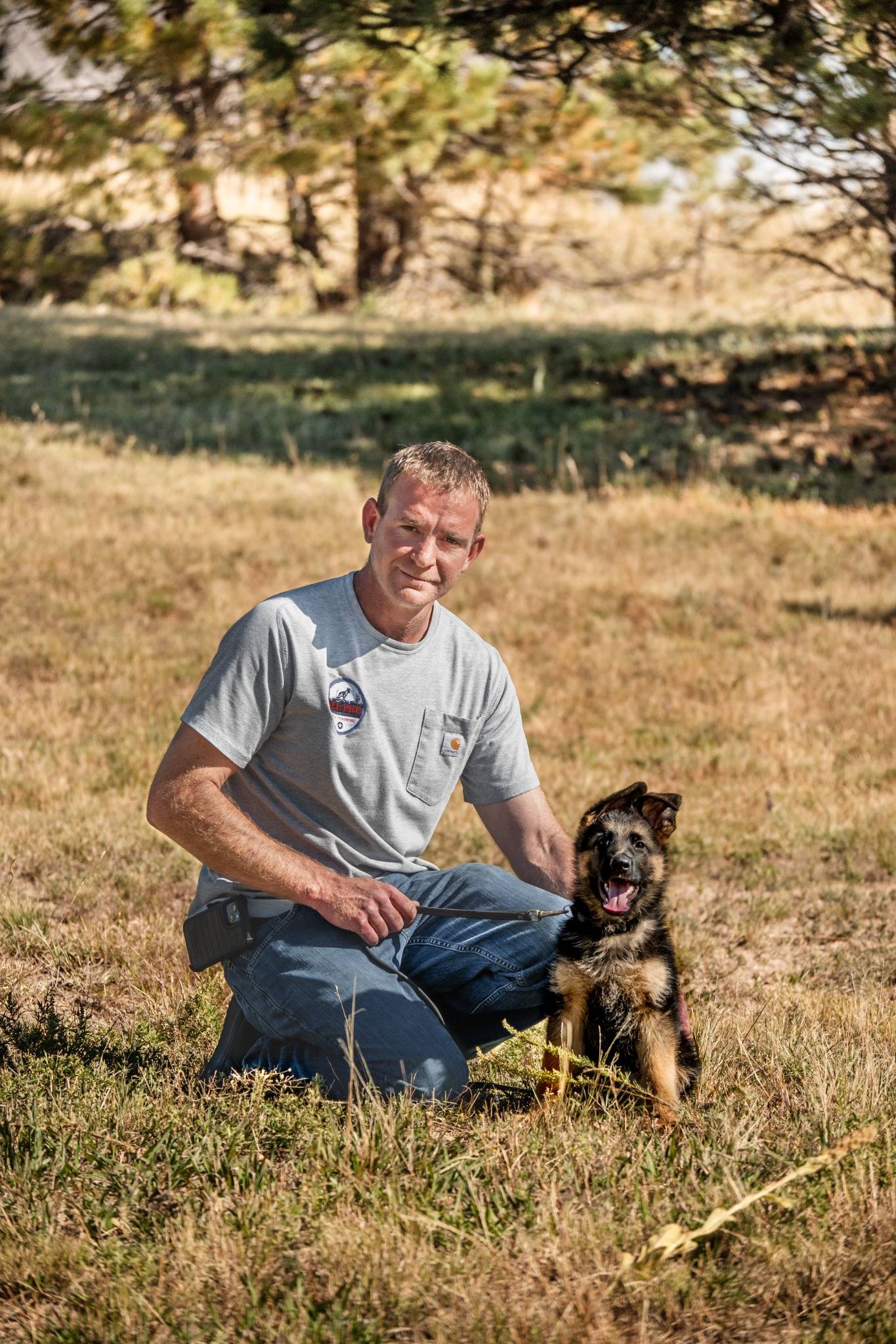 In-Home Dog Training training image 1